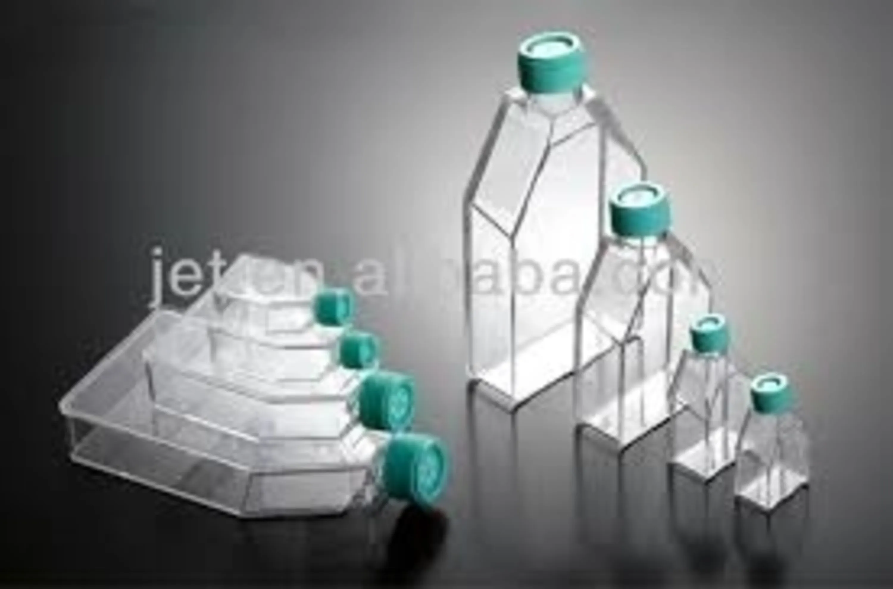 فلاسک کشت سلولی  فیلتردارT12, ST